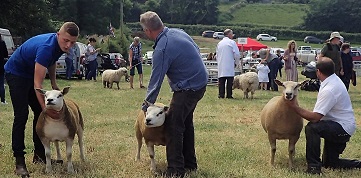 Caerwys Agricultural Show